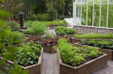 Что такое альтернативный сад